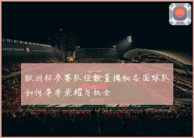 欧洲杯参赛队伍数量揭秘各国球队如何争夺荣耀与机会