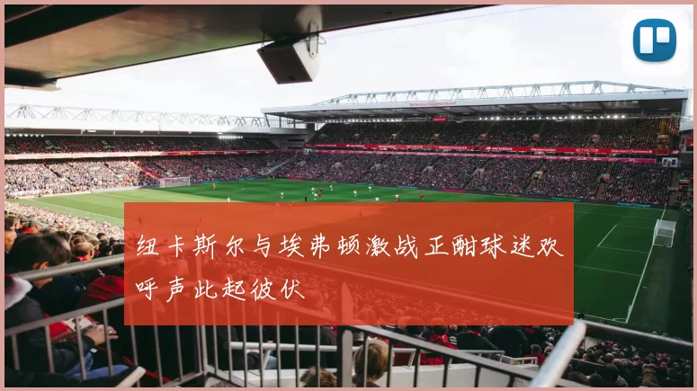 纽卡斯尔与埃弗顿激战正酣球迷欢呼声此起彼伏